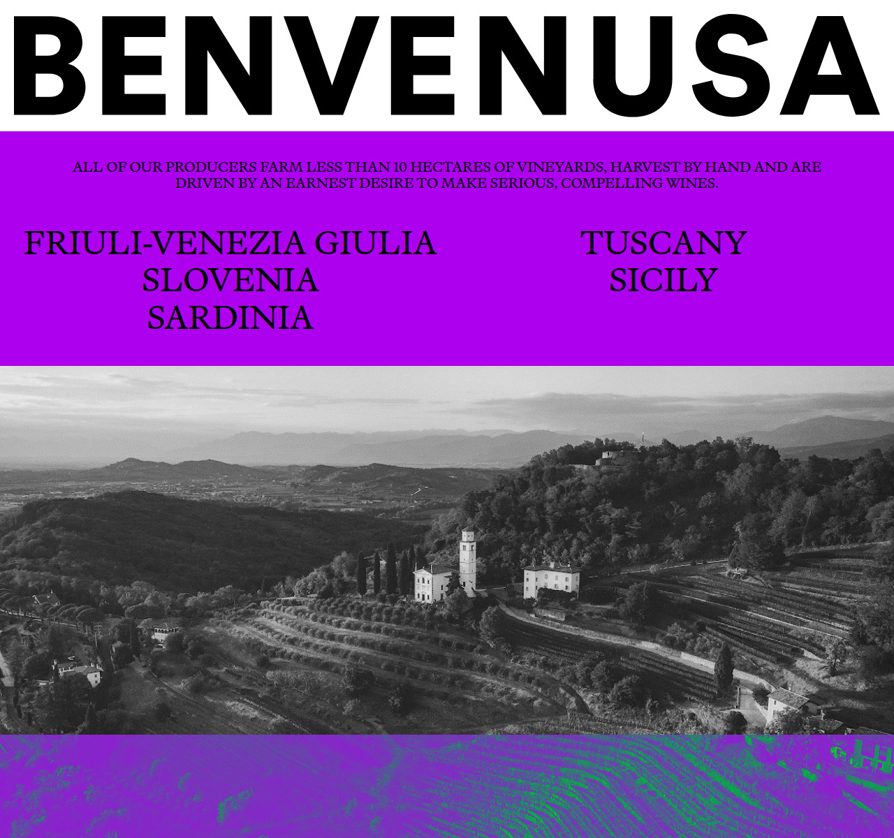 Benvenusa Italian Wines — website screenshot