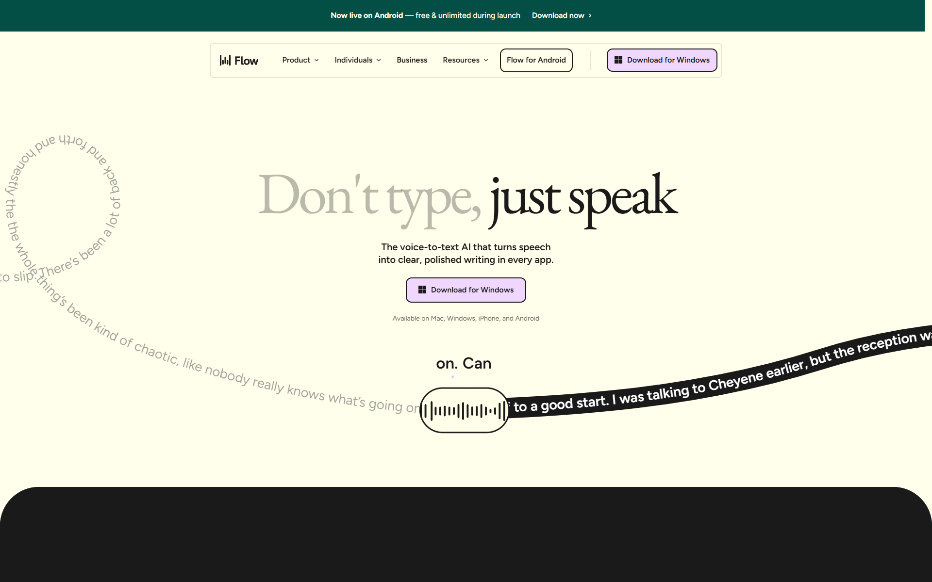 Wispr Flow — website screenshot
